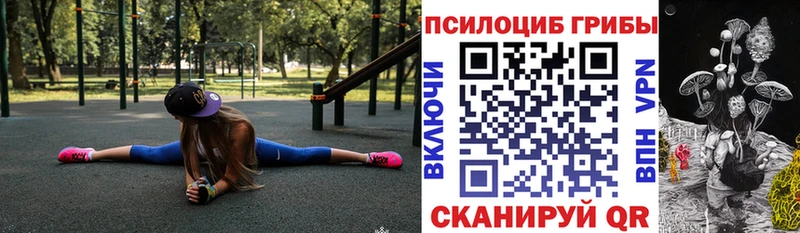 darknet официальный сайт  Тихорецк  Галлюциногенные грибы Psilocybine cubensis 